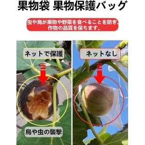 ぶどう袋 果実袋 100枚入 防鳥ネット防虫ネ...の詳細画像5