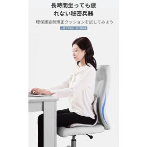 骨盤サポート 座椅子 姿勢矯正 腰枕 猫背改善...の詳細画像1