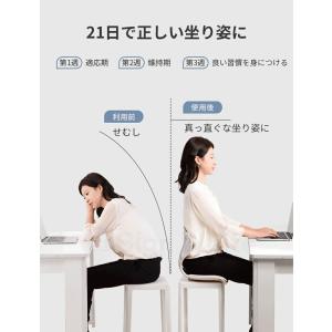 骨盤サポート 座椅子 姿勢矯正 腰枕 猫背改善...の詳細画像3
