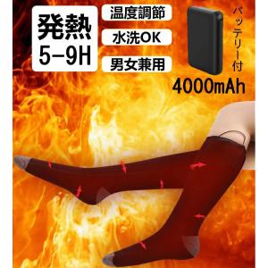 電熱ソックス 電気靴下 4000mAh ヒーターソックス 両面発熱