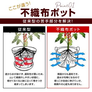 不織布ポット 不織布プランター 植木鉢 12ガ...の詳細画像2