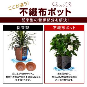 不織布ポット 不織布プランター 植木鉢 12ガ...の詳細画像4