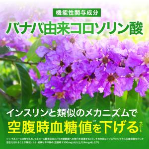 【薬剤師監修】血糖値 下げる サプリ サプリメ...の詳細画像3