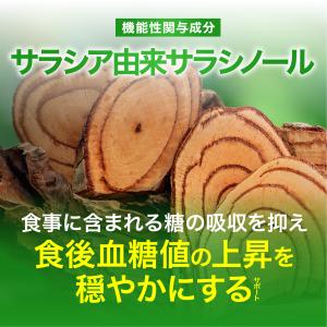 【薬剤師監修】血糖値 下げる サプリ サプリメ...の詳細画像5