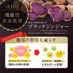 ダイエット サプリ ブラックジンジャー 腸活 ...の詳細画像3