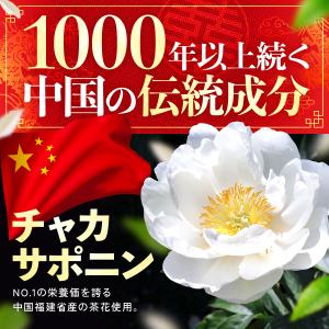 【ポイント20倍】ダイエット サプリ 中性脂肪...の詳細画像5