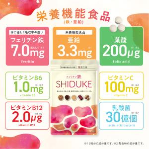 【薬剤師監修】鉄分サプリ フェリチン鉄 子供 ...の詳細画像5