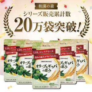【薬剤師監修】コレステロール 下げる サプリメ...の詳細画像3
