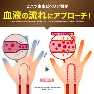 血圧 サプリ ヒハツ ギャバ 下げる 血流 冷...の詳細画像5