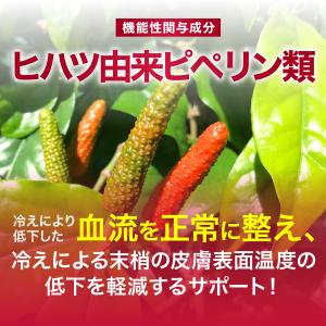 【薬剤師監修】血圧 サプリ ヒハツ ギャバ 下...の詳細画像4