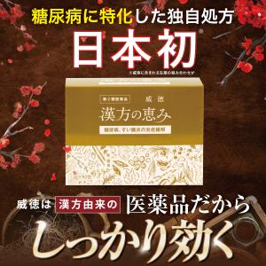 【指定第2類医薬品】 糖尿病 威徳 漢方の恵み...の詳細画像4