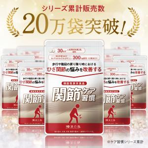 【ポイント20倍】 グルコサミン プロテオグリ...の詳細画像2