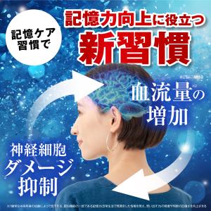 記憶力 集中力 サプリ イチョウ葉 サプリメン...の詳細画像5