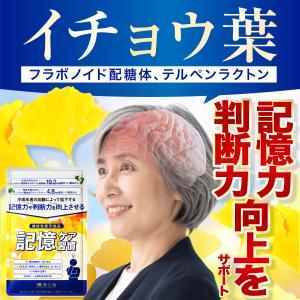 記憶力 集中力 サプリ イチョウ葉 サプリメン...の詳細画像3
