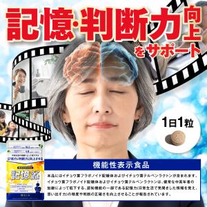 記憶力 集中力 サプリ イチョウ葉 サプリメン...の詳細画像4