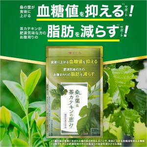 ダイエットサプリ 血糖値 下げる ダイエット サプリ 皮下脂肪 内臓脂肪 食後 茶カテキン 桑の葉＆茶カテキンの恵み 和漢の森