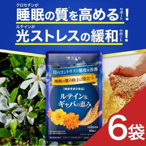 和漢の森 【 2袋セット 】 桑の葉＆茶カテキンの恵み 38.4g ( 320mg