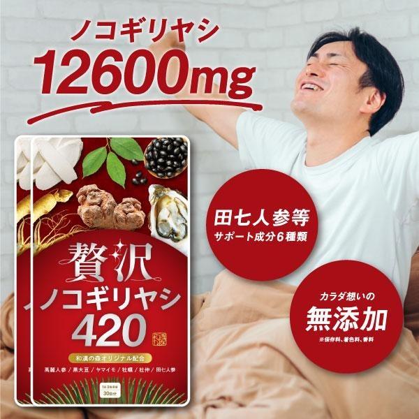 ノコギリヤシ サプリ 2袋 亜鉛 ノコギリヤシエキス 男性 スッキリ のこぎりやし 田七人参 高麗人...