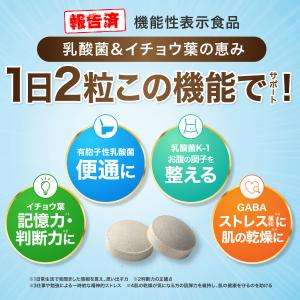乳酸菌 サプリ 便通 腸活 腸内環境 睡眠 イ...の詳細画像2