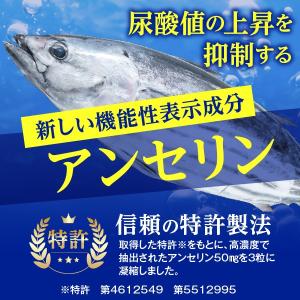 尿酸 アンセリン プリヘール EX 90粒 下...の詳細画像4