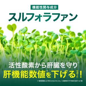 【薬剤師監修】スルフォラファン 肝機能 サプリ...の詳細画像5