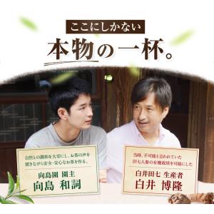 【最大15%OFFクーポン★19日 20:00...の詳細画像5