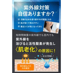 日焼け サプリ 日焼け止め サプリ アスタキサ...の詳細画像4