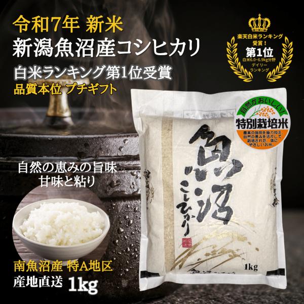 魚沼産コシヒカリ 新米 1kg  令和7年 特別栽培米 白米 特別栽培米   南魚沼産コシヒカリ 産...