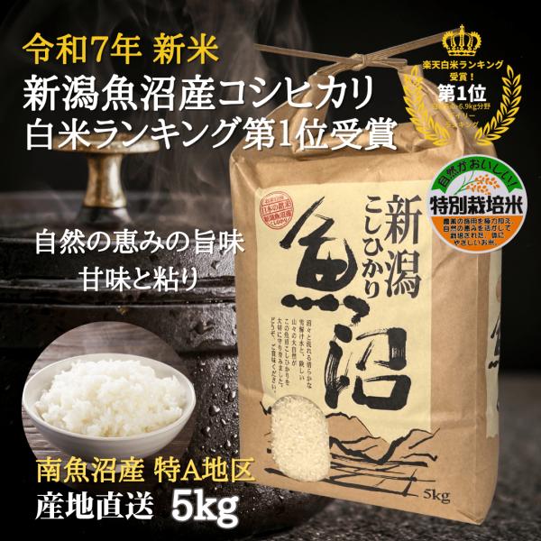 魚沼産コシヒカリ 新米 令和7年 5kg 【白米】 特別栽培米   南魚沼産コシヒカリ 産地直送 新...