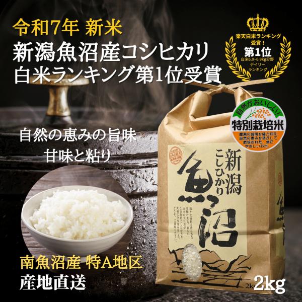魚沼産コシヒカリ 新米 令和7年 特別栽培米  2KG 【白米】 産地直送 新潟 美味しい米 贈答品...