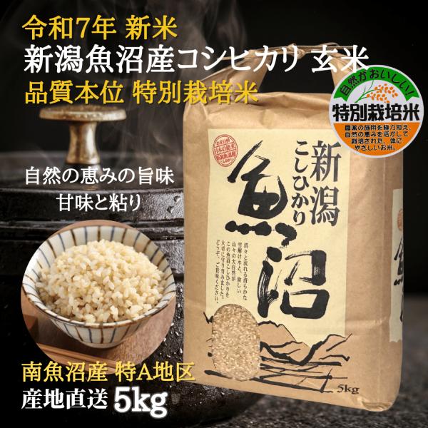 魚沼産コシヒカリ 新米 令和7年 特別栽培米 【玄米】 5kg 産地直送 美味しい米 贈答品 粗品 ...
