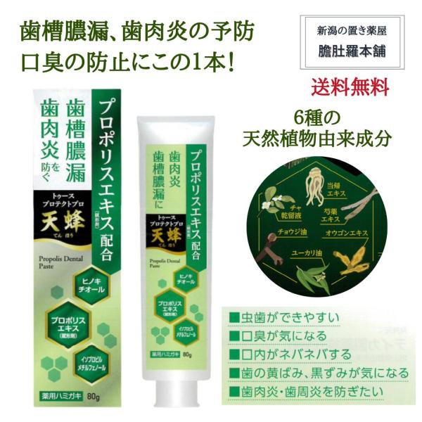 プロポリス入り歯磨き粉 トゥースプロテクトプロ 天蜂 天然植物由来 歯槽膿漏予防 歯肉炎予防 口臭防...