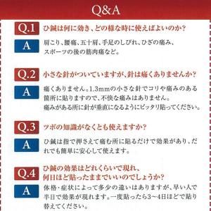 ひしん 神洲 ひ鍼(中国名 秘鍼) 3個セット...の詳細画像3