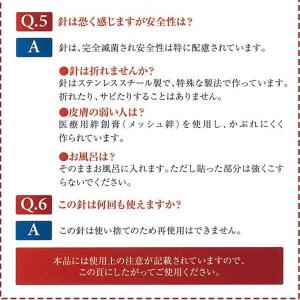 ひしん 神洲 ひ鍼(中国名 秘鍼) 3個セット...の詳細画像4