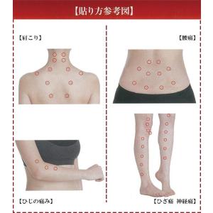 ひしん 神洲 ひ鍼(中国名 秘鍼) 3個セット...の詳細画像5