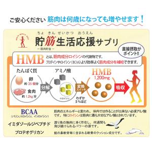 ＼今ならポイント15倍/アミノネクストHMB ...の詳細画像2