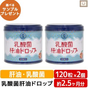 河合肝油ドロップ」ビタミンC入300粒×2個セット : イワカミ薬品Yi