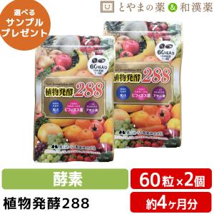 送料無料 植物発酵288 60粒 2個セット フルーツ 植物発酵エキス 植物性乳酸菌 アマニ油 酵素 サプリ オメガ3 サプリメント 健康食品 アマニオイル
