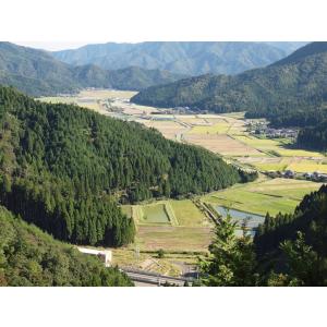 【玄米30kg】令和6年 福井県産 あきさかり...の詳細画像3