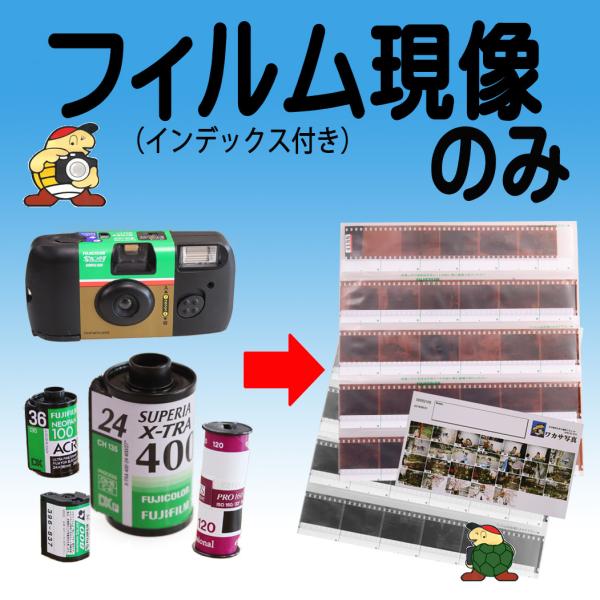 ネガフィルム現像のみ