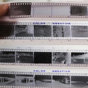 フィルム現像+同時プリントの詳細画像2