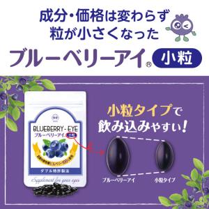 ブルーベリーアイプロ わかさ生活 1袋（1袋31粒入り） 約1ヵ月分