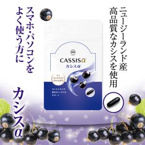 サポート7バイタリティ : sun lise - 通販 - Yahoo!ショッピング