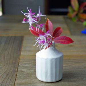 剣山がいらない！お手軽一輪挿し【楕円】 kinari 益子焼 わかさま陶芸