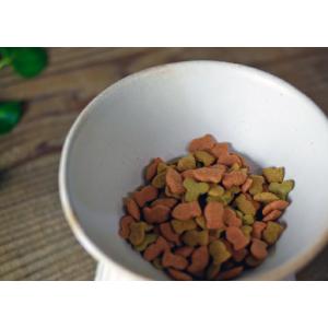 ねこ&小型犬用 フードボウル kinari 伝...の詳細画像3