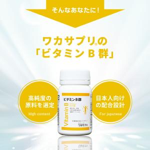 5のつく日限定/P5% 公式 ワカサプリ ビタ...の詳細画像3