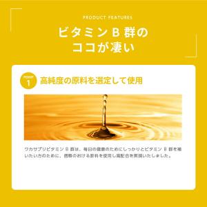 5のつく日限定/P5% 公式 ワカサプリ ビタ...の詳細画像4