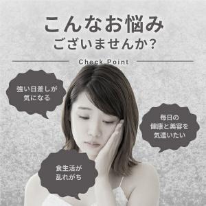 公式 ワカサプリ ビタミンCカプセル サプリ ...の詳細画像2
