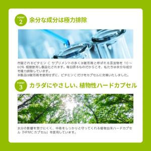公式 ワカサプリ ビタミンCカプセル サプリ ...の詳細画像5