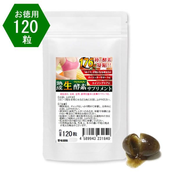 ナチュラル化 熟成生酵素 お徳用120粒 約4ヵ月分 176種類の植物発酵エキス配合 野草酵素 サプ...